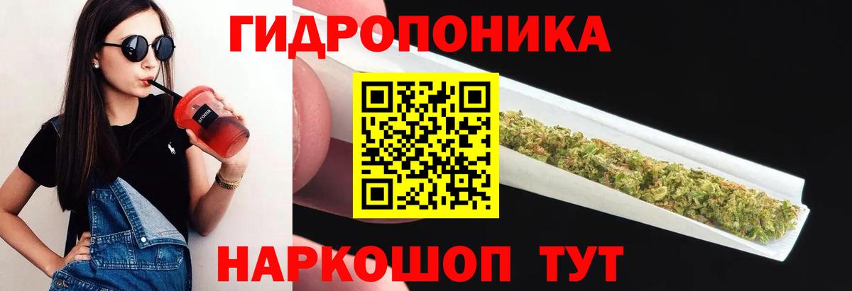 Сальск  Бошки марихуана семена  Вход с VPN  Каннабис индика 